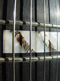 Guitar Strings and Frets